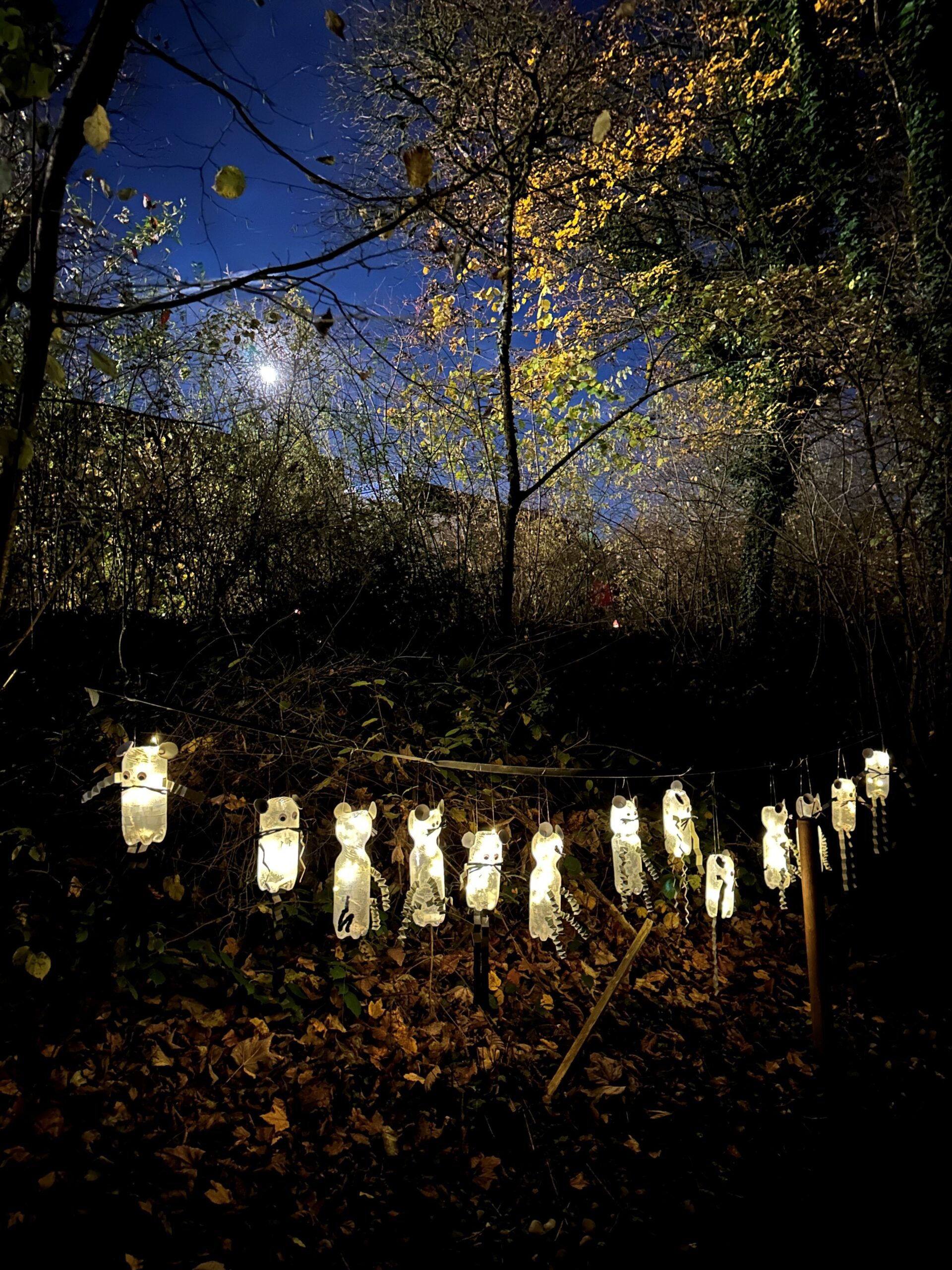 Lichterfest in Baden